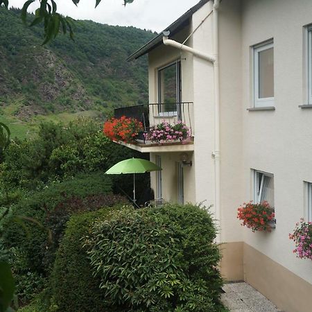 Fewo Goebel Beethovenstrasse Cochem Kültér fotó