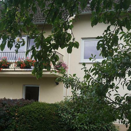 Fewo Goebel Beethovenstrasse Cochem Kültér fotó