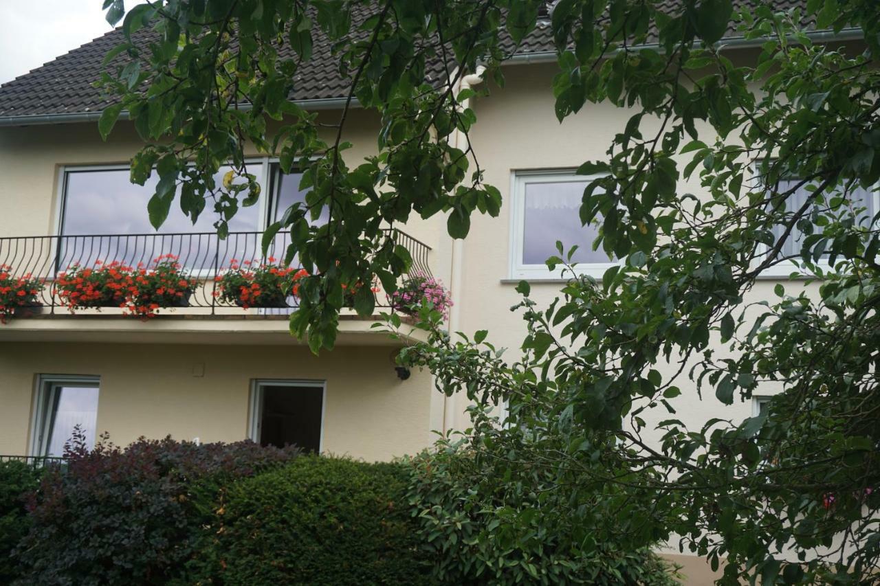 Fewo Goebel Beethovenstrasse Cochem Kültér fotó